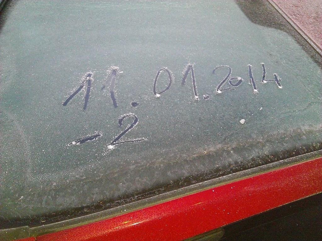 Floarea Popestiului 11 - 11 ian. - la plecare